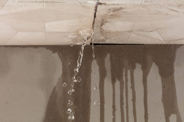 Professional Water Damage Repair technician working in Mount Hermon, VA